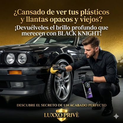 ACABADO DE LUJO- ABRILLANTADOR DE PLÁSTICOS Y GOMAS PREMIUM