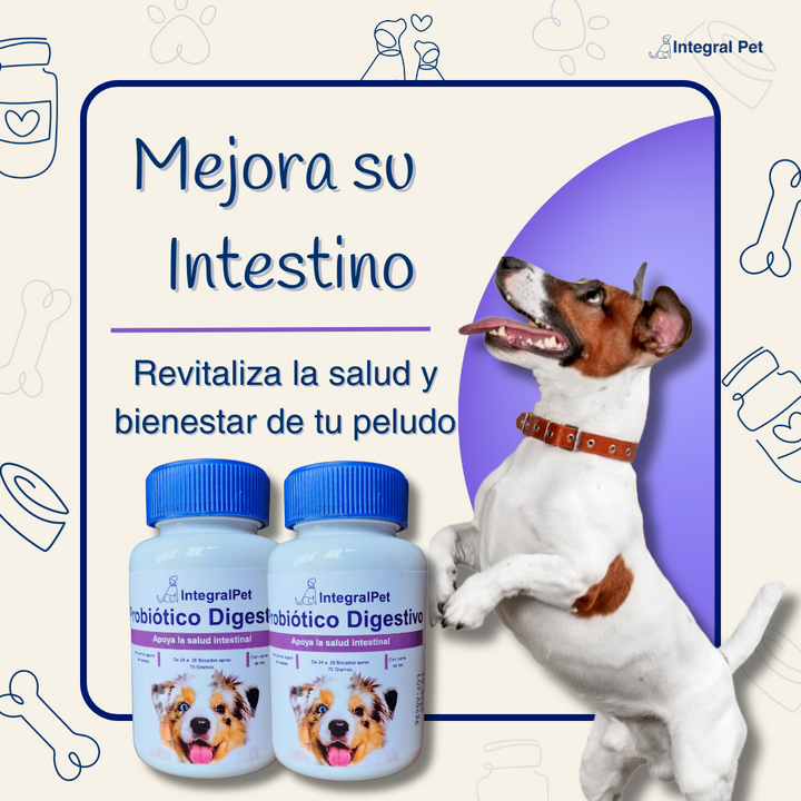 DE NOCHES DE MOLESTIAS A DÍAS FELICES 🐶 SALUD DIGESTIVA NATURAL PARA TU MEJOR AMIGO 🌿