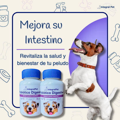 DE NOCHES DE MOLESTIAS A DÍAS FELICES 🐶 SALUD DIGESTIVA NATURAL PARA TU MEJOR AMIGO 🌿