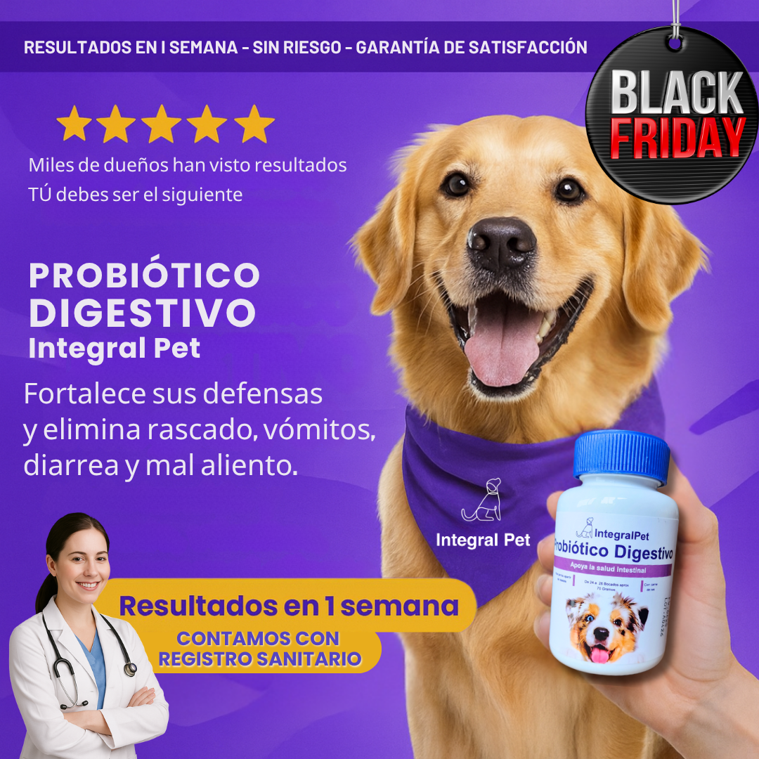 DE NOCHES DE MOLESTIAS A DÍAS FELICES 🐶 SALUD DIGESTIVA NATURAL PARA TU MEJOR AMIGO 🌿