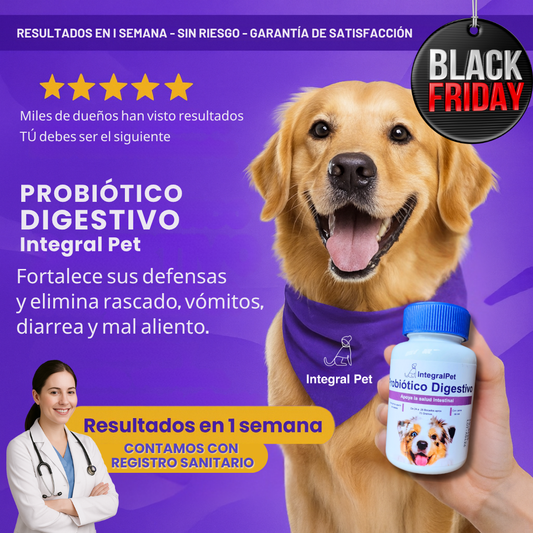 DE NOCHES DE MOLESTIAS A DÍAS FELICES 🐶 SALUD DIGESTIVA NATURAL PARA TU MEJOR AMIGO 🌿
